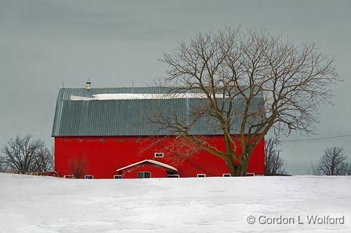 Red Barn & Tree_05872.jpg - Photographed near Perth, Ontario, Canada.